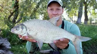 Тут ловится, рыбалка с хорошим клёвом и уловом