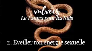 Tantra for Dummies [EP2] - Awaken Your Sexual Energy (aka Life Energy or Kundalini)