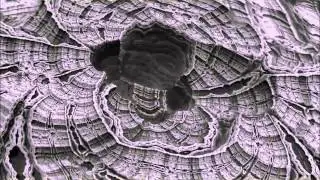 PAUL TAYLOR - REFLECTION OF MIND