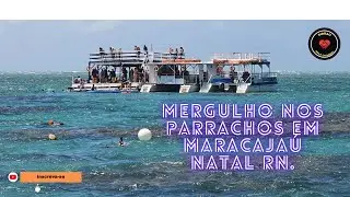 MERGULHO NAS PISCINAS NATURAIS EM MARACAJAÚ,NATAL RN.