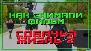 СОБАЧЬЯ ЖИЗНЬ 2 A DOG'S JOURNEY 2019 Съёмки фильма Как снимали Behind the Scenes