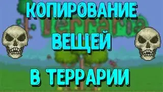 КАК КОПИРОВАТЬ ВЕЩИ В ТЕРРАРИИ