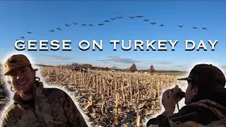 12 BLINDS IN A GOOSE FIELD?! (Running Traffic)