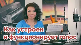 Как устроен и функционирует певческий голос # Урок 1