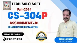 CS304P Assignment 1 Solution Fall 2024 100% accurate by Tech solo  CS304P Assignment 1 solution 2024