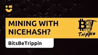 NiceHash & BitsBeTrippin: Should you mine with NiceHash?