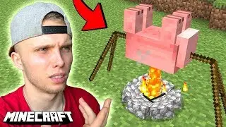 TEGO BRAKUJE W MINECRAFT.