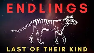 ENDLINGS (Part 2) - The Last One Before Extinction