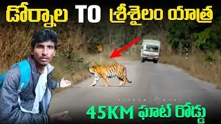 శ్రీశైలం వెళ్తున్నారా, అయితే ఈ వీడియో మీ కోసం ||Srisailam Ghat Road Journey Dornala to Srisailam 🙏🕉️