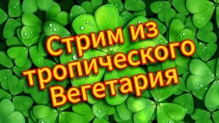 Вадимка в прямом эфире!