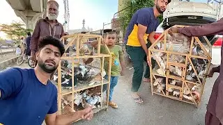 Aj Turab Ko Surprise De Diya😍