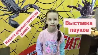 Выставка пауков в Перми. Мы видели столько настоящих пауков!!#детскийканал#выставкапауков#пермь#дети