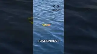 Приманка на трофейную щуку! 