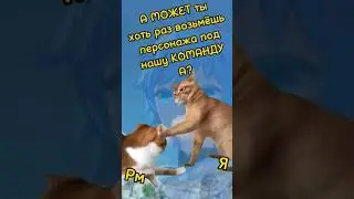Типичный поход на боссов 