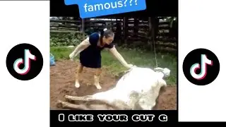 i Like Your Cut G (Part 3) #tiktok #tiktokmemes #memes