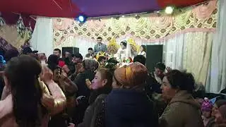 Туй дар Мехробод.19.11.2021