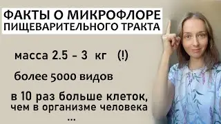 Нарушение симбиотного пищеварения и заболевания ЖКТ тесно связаны...