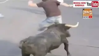 Dangerous Bull Fight Accidents Compilation | Lucky and Funny People Fail Video Clips