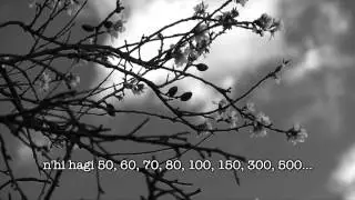 concepte Imagina [1]