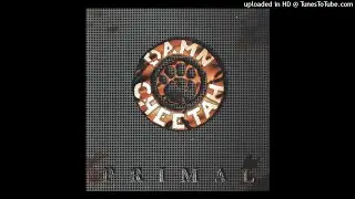Damn Cheetah - Maybe Tomorrow