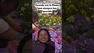 Comenta la Planta que siempre haz querido 💚 #jardin #plantas #plantlover #jardineria #plantasdecasa