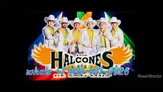 los halcones de san luis, mis malas mañas