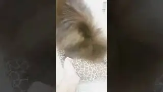#приколы