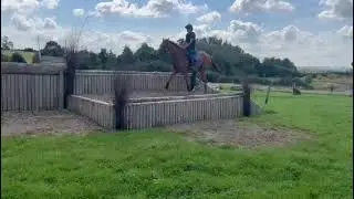 Welcome Pete 🧡 #horses #lifeafterracing #loveyourror #equestrian #horse