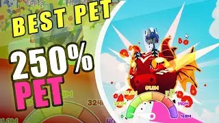 Race Clicker BEST PET 250% | Roblox