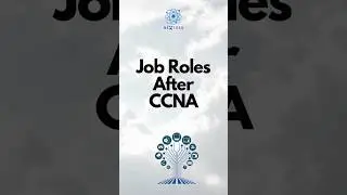 Job Roles After Cisco-Certified Network Associate Certification (CCNA) | NextGen IT Courses 