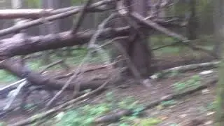 ВАЖНО О ВАЖНОМ! ПОЖЕЛАНИЕ ШАМАНУ! КТО КОМПРОМЕТИРУЕТ!