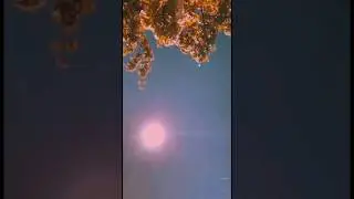 у вас было? ну рил бесят такие( #дружба #лд #лп #реки /ВИДЕО МОЕ\