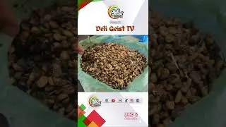 KOTORAN MUSANG JADI KOPI LUWAK #coffee #coffeelover #kopi #indonesia  #food #sumaterautara