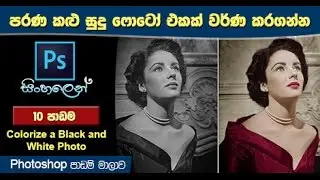 How to Colorize a Black and White Photo in Photoshop – Sinhala Lesson 10