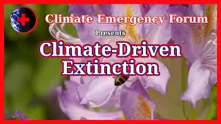 Climate-Driven Extinction