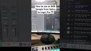 How to use a splice 808 sample in Logic Pro 
