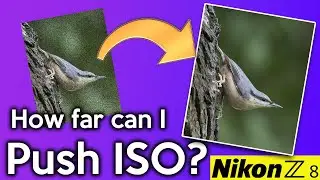 How far can I push ISO on my Nikon Z8?