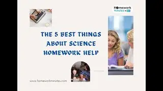 The 5 Best Things About Science Homework Help
