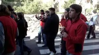 Grallers Gra de Palla - Dolors de Munt