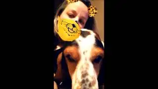 Snappin' with Sadie #1 - A Barkley The Basset Video