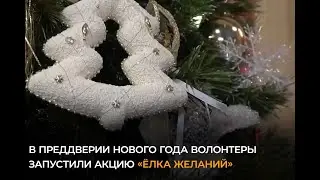 Елка желаний