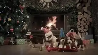 Auau Natal!