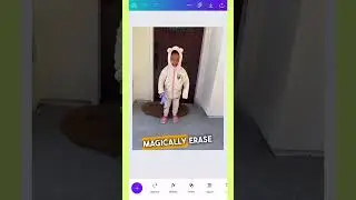 Canva Magic Eraser & Canva Magic Edit 