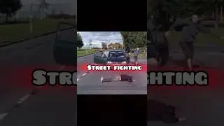 STREET FIGHTERS ! REAL OR FAKE?