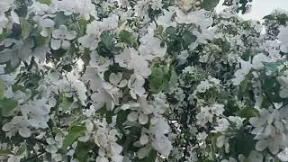 Сделай себе защитный амулет своими руками
