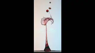 Bnhr - 