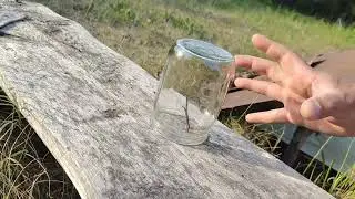 СИЛА МЫСЛИ - Лесные Мурзилки