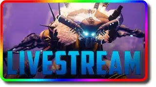 Destiny 2 - Final Story and Week Before Witch Queen