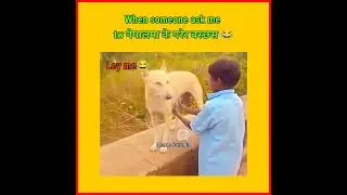 Unemployed friends of mine be like 🤪 