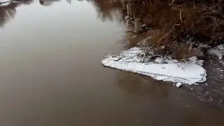 р. Алей 5.04.2017 год